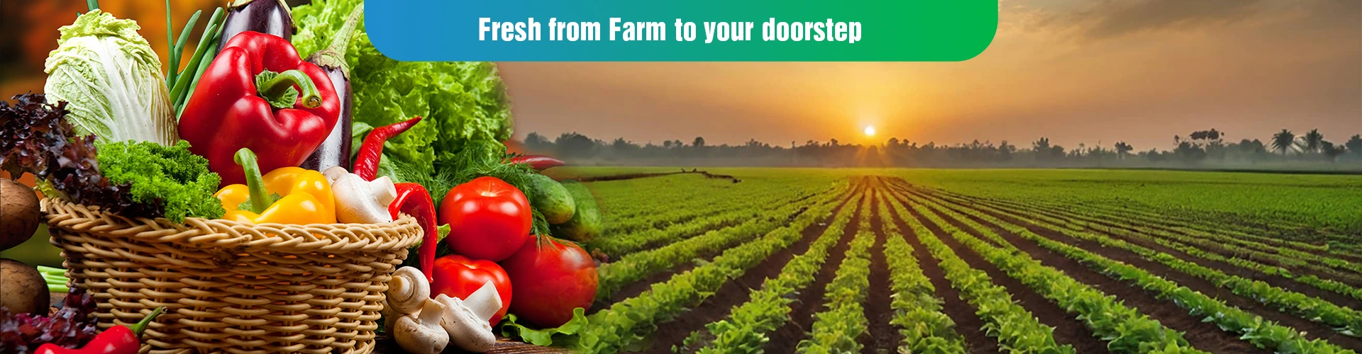 Lifenity Fresh - fresh produce sourced directly from farms