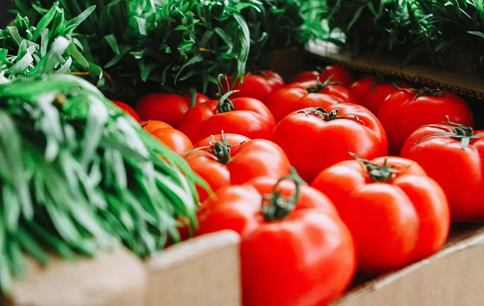 Why Choose Fresh Produce?
