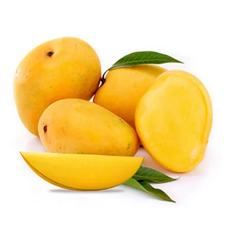 Alphonso Mango